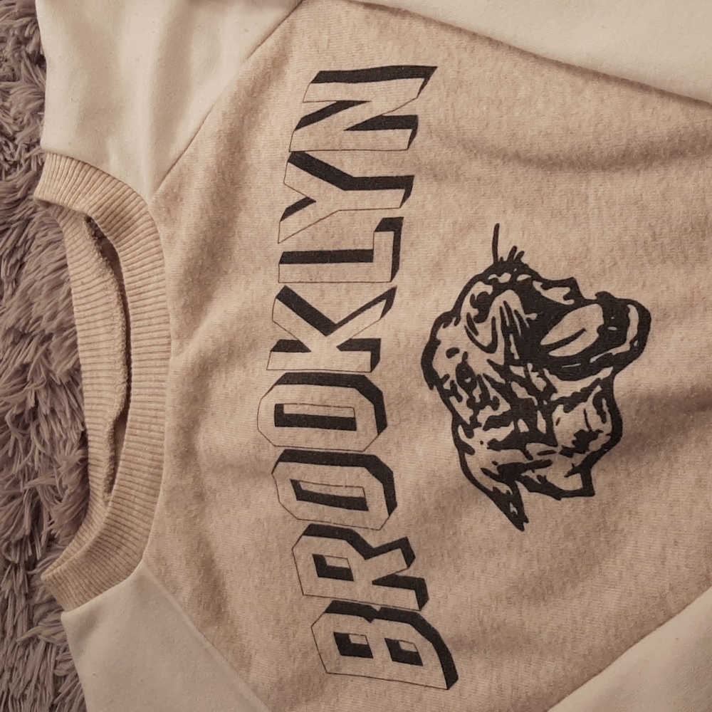 American Eagle Sweatshirt Ahh- mazingly Soft Size Small